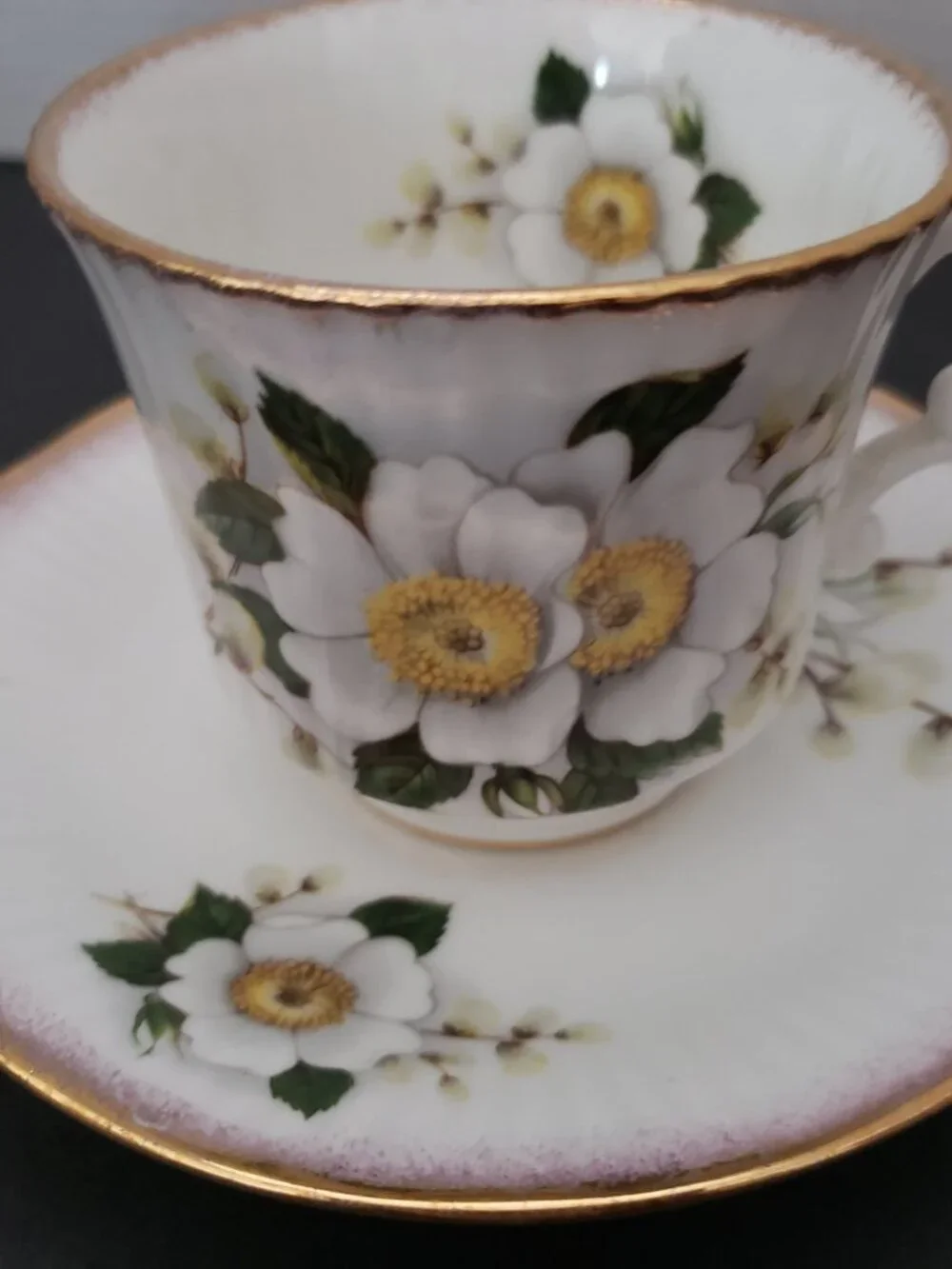 Vintage Rosina Queen's Fine Bone China Floral Tea Cup & Saucer